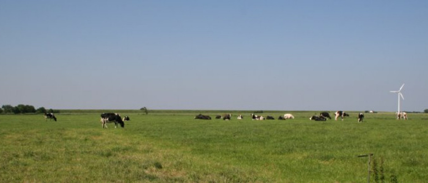 Ferienhof Dirks – Urlaub am Deich in Ostfriesland